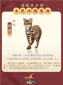 开刀塔天龙八部私服